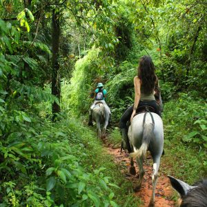 Horseback Riding Drake Bay